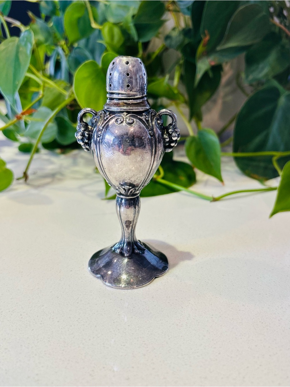 Oxford Plate Silver Salt Shaker – Ornate Antique Design, 177g, Mid-Century Charm